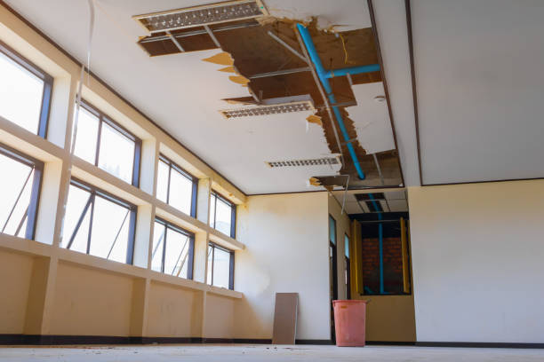 Best Flood damage cleanup  in Longmont, CO