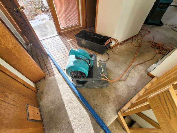 Professional Water damage restoration in Longmont, CO