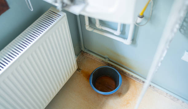 Best Mold removal after water damage  in Longmont, CO