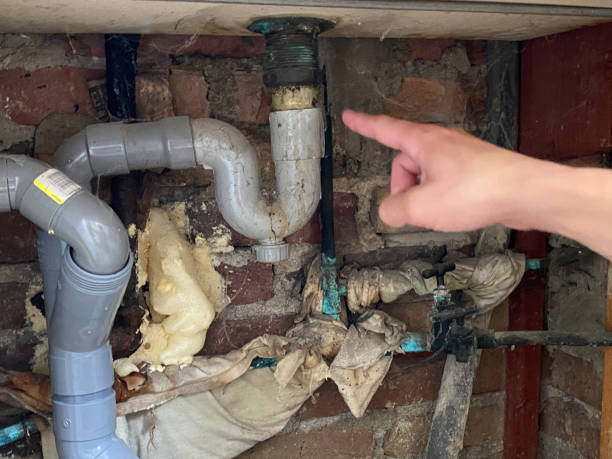 Best Fire Damage Restoration  in Longmont, CO