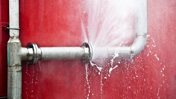 Best Flood restoration services  in Longmont, CO